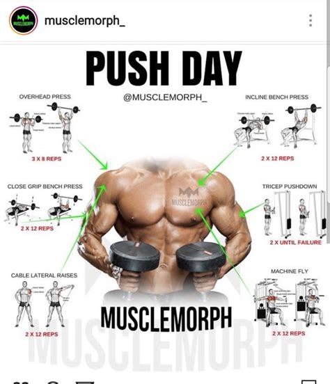 Push Day Workout Plan Gym Workout Plan For Men Daily Workout Plan