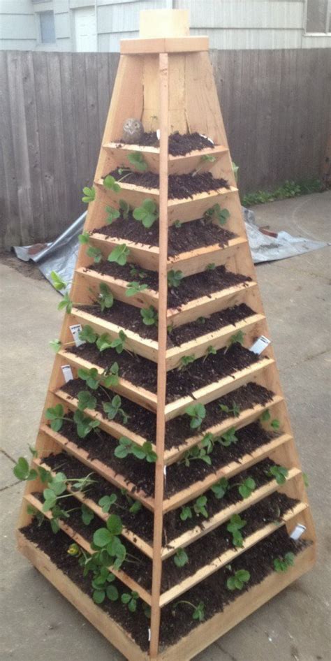It tells what to look for, what to avoid and where to find. 12 DIY Vertical Strawberry Garden Ideas