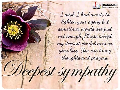 Condolences On Your Loss Sending My Sympathy Ecards Greeting Cards