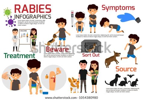 Rabies Infographics Illustration Rabies Describing Symptoms Stock Vector Royalty Free 1054380980
