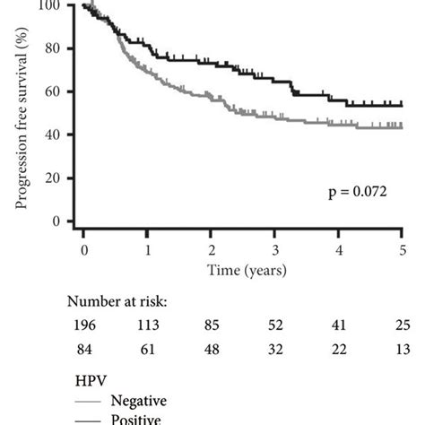 Kaplanmeier Plots Stratified By Hpv Status Positive Vs Negative For