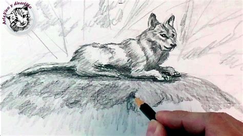 Como Dibujar Un Lobo A Lapiz Paso A Paso Como Dibujar Animales Cómo
