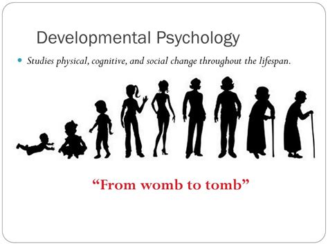 Ppt Human Development Theories Powerpoint Presentation Free Download 198