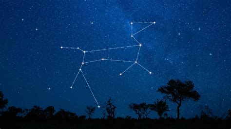 Canis Major Constellation Stars Mythology How To Find Canis Major