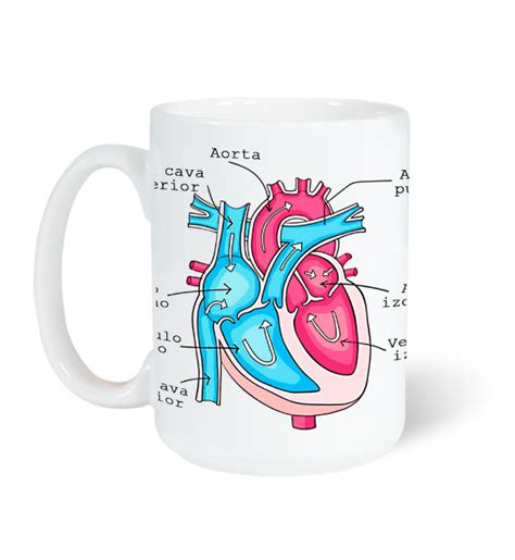 Corazón Anatómico Fuega Oficial