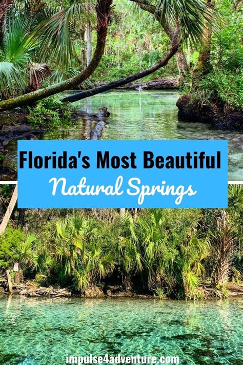 Top 12 Springs In Florida To Visit This Summer Florida Springs