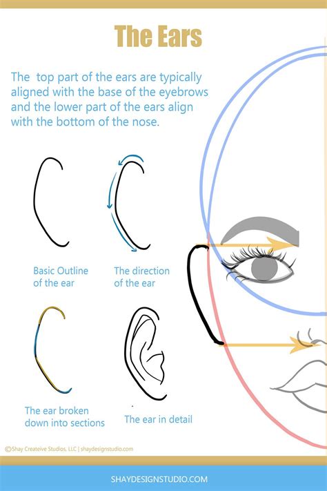 Tips And Tricks On How To Draw Ears Step By Step Draw Ears Step By