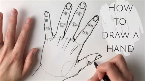 Beginners How To Draw A Hand Youtube