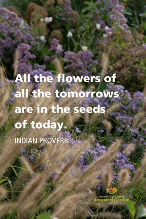 India All The Flowers Of All The Tomorrows Are In The Seeds Of Today