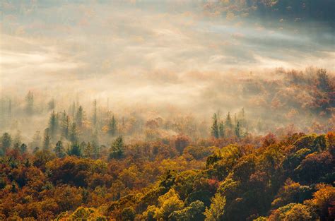 Autumn Fog Wallpapers High Quality Download Free