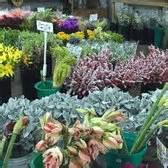 Did you google flower delivery near me in miami? Berkeley Florist Supply Company - 66 Photos & 38 Reviews ...