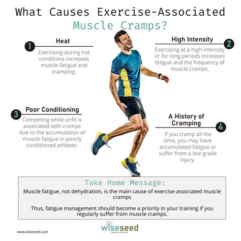 What Causes Exercise Associated Muscle Cramps Wiseseed Health Solutions