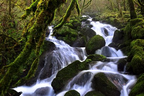 Switzerland Forests Waterfalls Stones Moss Stream Soubey Nature