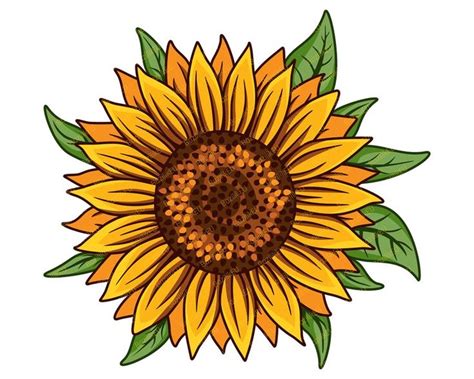 Sunflower SVG, Digital Download, Sunflower PNG White, Sunflower clipart
