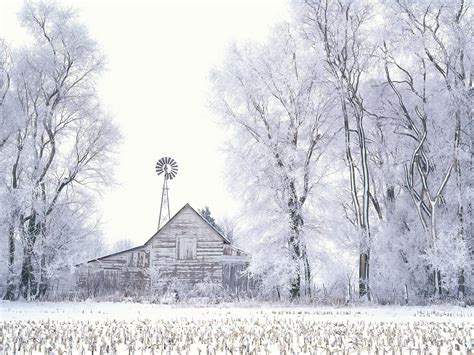 Hintergrundbilder Bäume Schnee Winter Haus Eis Frost Raureif