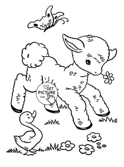 Coloring pages baby animals coloring pages free coloring. Cute Baby Sheep animal coloring page for kids, animal ...