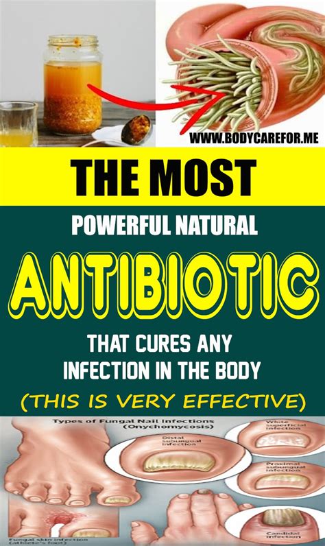 The Most Powerful Natural Antibiotic That Cures Any Infection In The