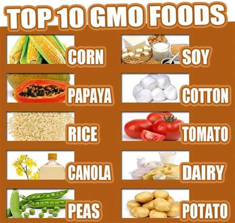 Herbs For Your Health And Wellness Top 10 Gmo Foods