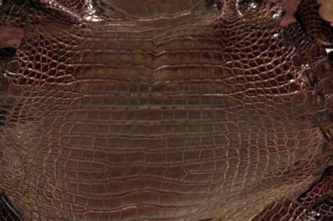 Alligator Leather Wholesale Alligator Skins For Production High