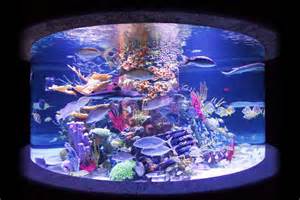  Coral Reef Aquarium: Artificial Coral Reef Aquarium Decoration Inserts