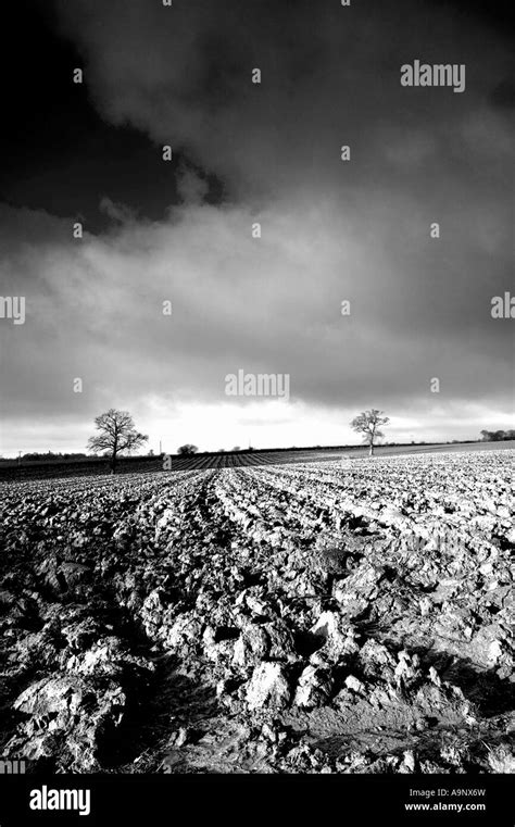 Black And White Landscape Of Ploughed Fields And A Dramatic Cloudy