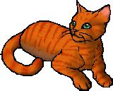 Check spelling or type a new query. Firestar - Warrior Cats Wiki - Erin Hunter, The Blazing ...