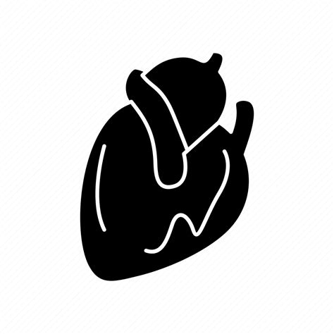 Cardiology Cardiovascular Heart Icon Download On Iconfinder