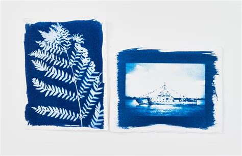 Cyanotype Get Started With Our Beginners Guide