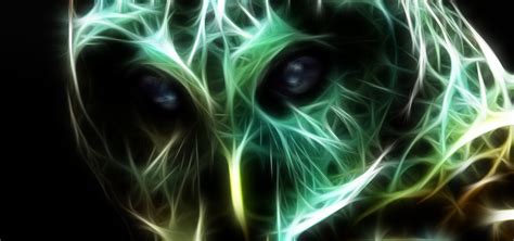 Captive Owl Fractal By Dfwhdr On Deviantart