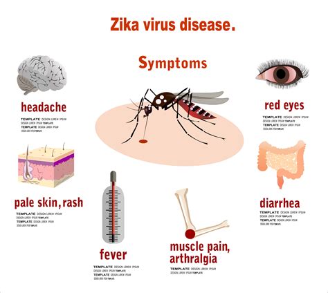 Zika Virus Update Doom And Bloom Tm