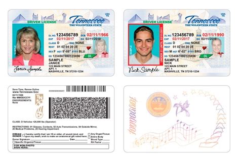 Drivers License Cedartown Ga Tennessee Gov Drivers License