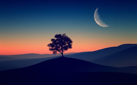 3840x2400 Tree Alone Dark Evening 4k 4k Hd 4k Wallpapers Images