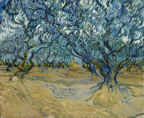 Calm And Exaltation Van Gogh In The B Hrle Collection Fondation