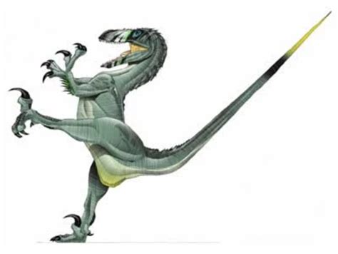 Deinonychus Jurassic Park Wiki Fandom