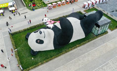 Selfie Taking Panda Statue Enthrals Public In Southwest China Xinhua English News Cn