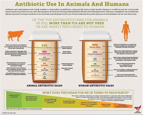 The Most Commonly Used Antibiotics For Livestock Are Rarely Used For