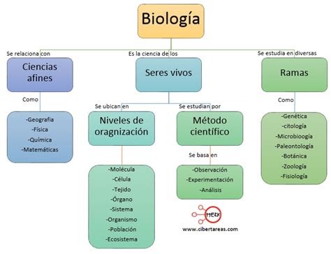 Definición De Biología Biología 1 Cibertareas
