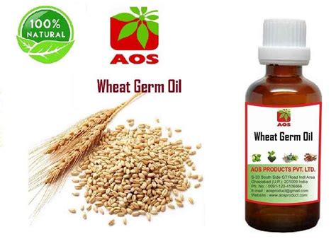 Wheat germ oil is a lipid found in hair and skin that contains approximately 55% linoleic acid and ceramides. 5 Amazing Uses of Wheat germ Oil BP, USP, Benefits in ...