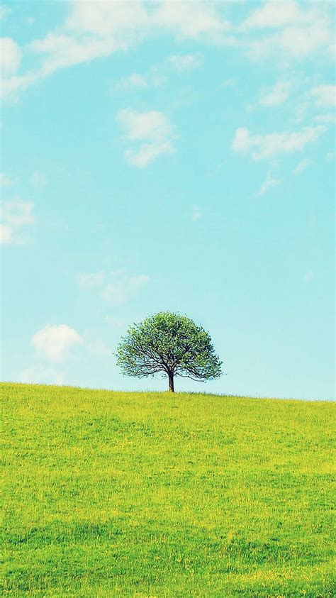 Lonely Tree Green Spring Field Iphone 6 Hd Phone Wallpaper Pxfuel