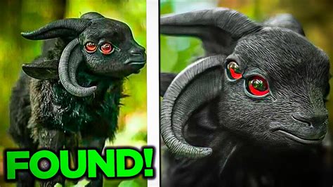 9 Strangely Odd Mythical Creatures Caught On Tape Youtube