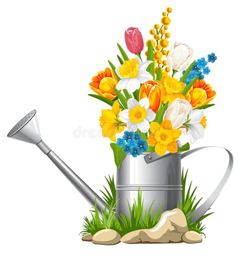Flowers In Watering Can Stock Vector Image 39747112