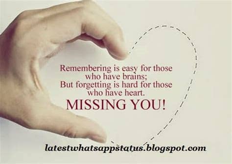 There are many pictures are categorized into several other categories like below. Whatsapp DP of Miss u status and quotes - whatsapp miss ...