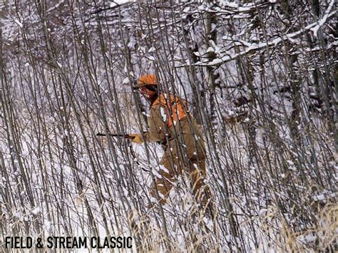 17 Tips For Still Hunting For Winter Whitetails Field And Stream