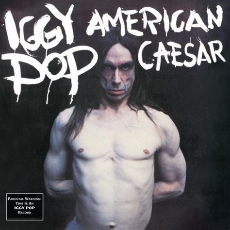 Iggy Pop Albums From Worst To Best Stereogum