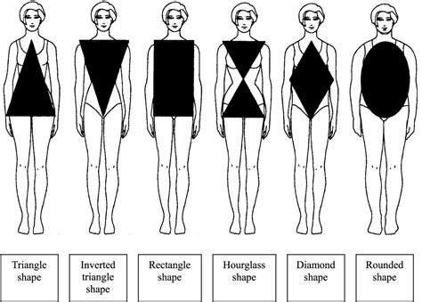 Woman Body Types Modern Vector Illustration Of Woman Body Shape Stock
