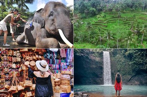 Bali Bathing Elephant Tibumana Waterfall Tour Candidasabalitour