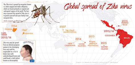 Uwmadison Researchers Begin Work On Zika Virus