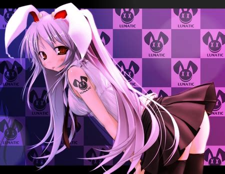 Comments On Anime Rabbit Other Wallpaper ID 237380 Desktop Nexus Anime