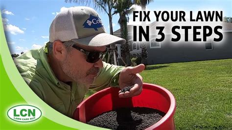 Allyn hane is the lawn care nut on youtube where he shares lawn care best practices and tips for achieving lawn domination. Lawn Care Tips for Beginners | Fix Your Lawn In 3 Steps ...