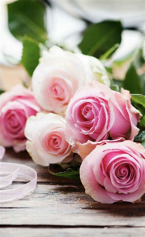 Check spelling or type a new query. خلفيات قفل الشاشة هواوي - Makusia Images